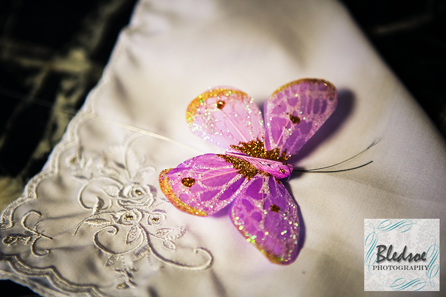 Butterfly and handkerchief at Knoxville Botanical Gardens wedding.