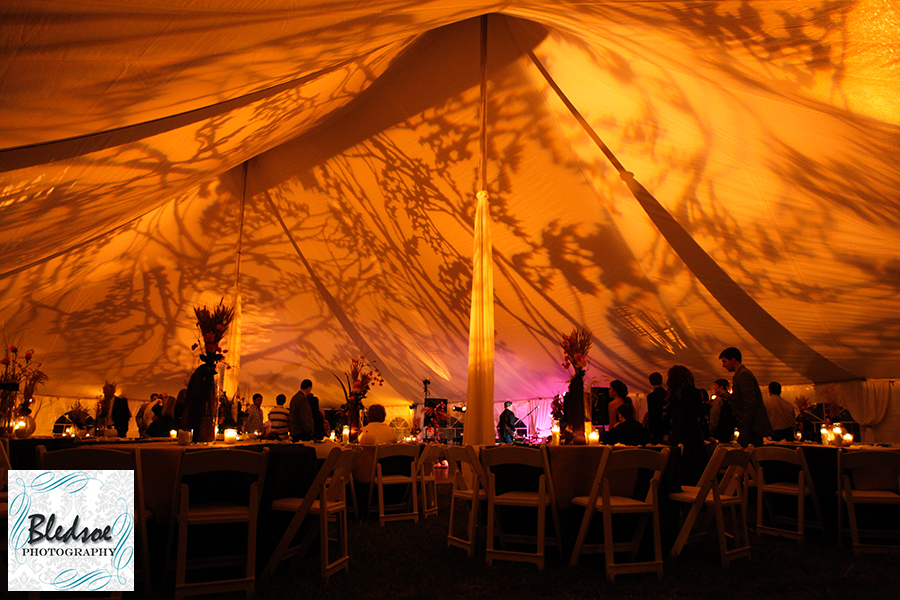 Decorative tent lighting. Bledsoe Photography.  Springfield, TN wedding photography