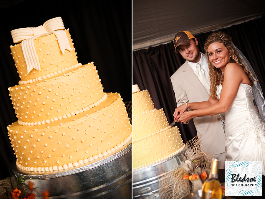 Yellow polka dot wedding cake. Bledsoe Photography.  Springfield, TN wedding photography