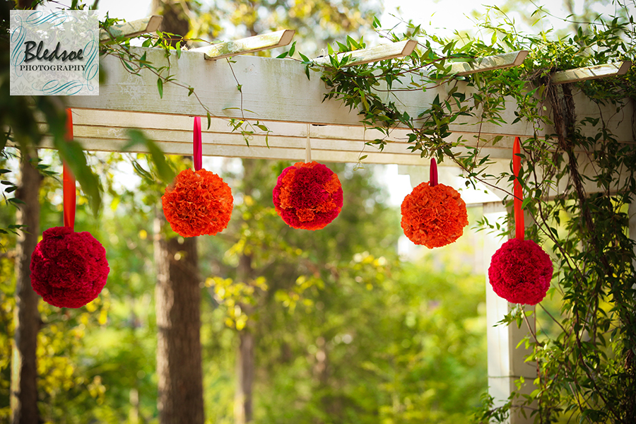 Fuschia and orange hanging pomanders at Hunter Valley Farm, Knoxville wedding photographer