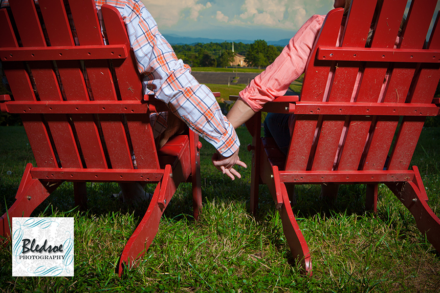 engagement knoxville botanical gardens - wedding photographer ©2012 Bledsoe Photography