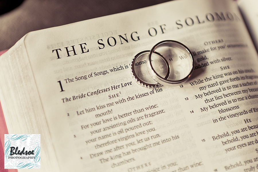 Song of Solomon with wedding bands at Chateau Selah © Bledsoe Photography Knoxville