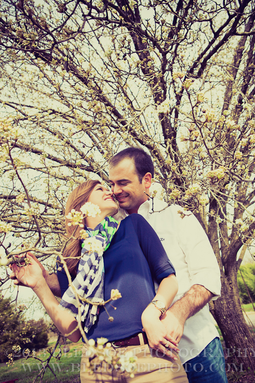 Danielle and Thomas engagement under the Bradford Pears - session at Knoxville Botanical Gardens @Bledsoe Photography