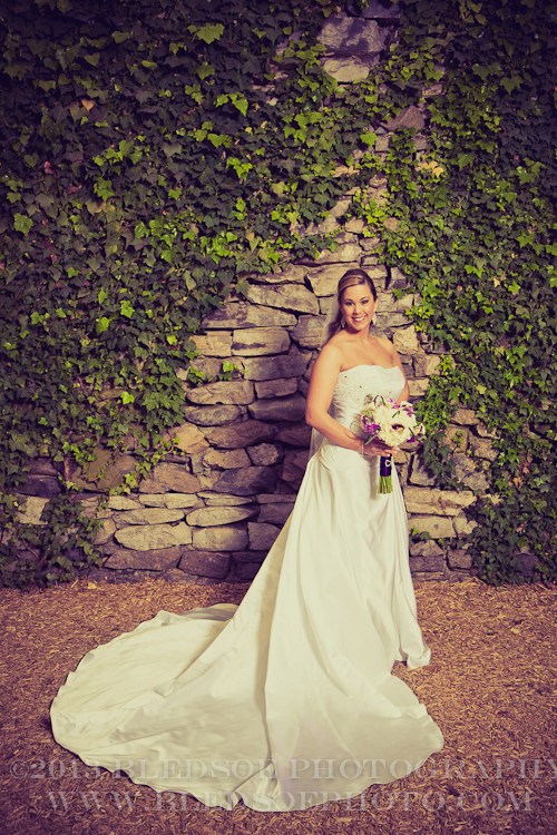 Bridal Portrait in greenhouse at Knoxville Botanical Gardens, knoxville wedding photographer, ©Bledsoe Photography