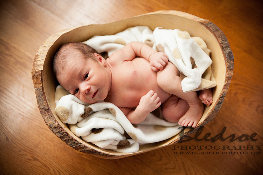 Newborn in wooden bowl, Knoxville newborn photographer ©Bledsoe Photography