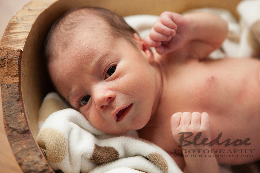 Newborn closeup in wooden bowl, Knoxville newborn photographer ©Bledsoe Photography