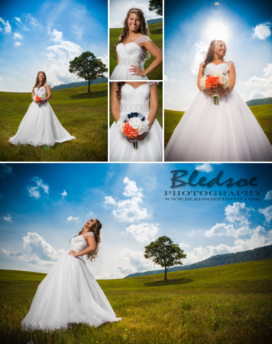 the stables lafollette tn wedding bridal portrait mountain field
