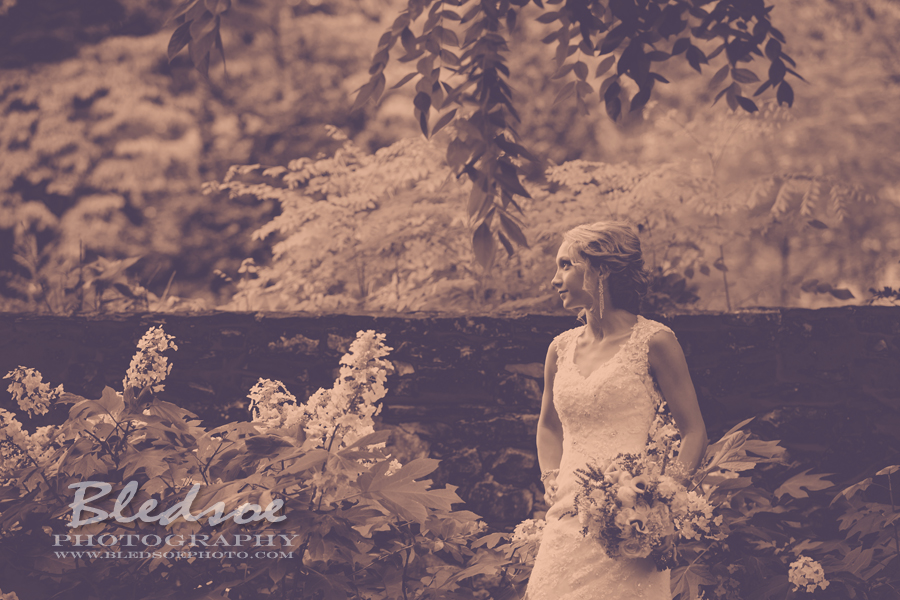 bridal portrait photo, knovxville botanical gardens, knoxville wedding photographer, bledsoe photography