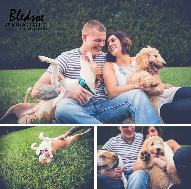 knoxville engagement photo session ft loudon lake pets dogs Bledsoe Photography