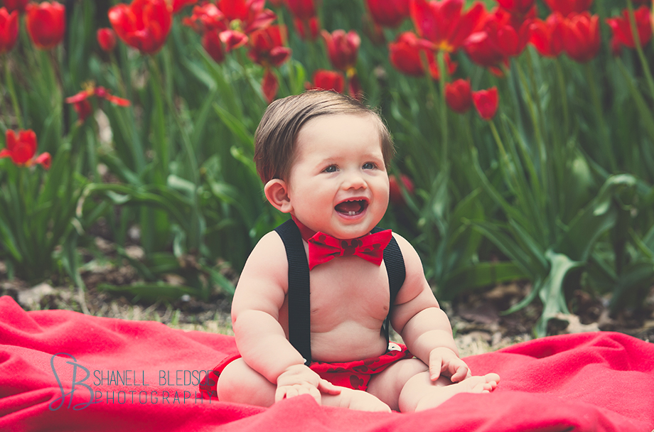 1 year old photo session in Knoxville, UT Gardens, Shanell Bledsoe Photography, Mickey Mouse outfit