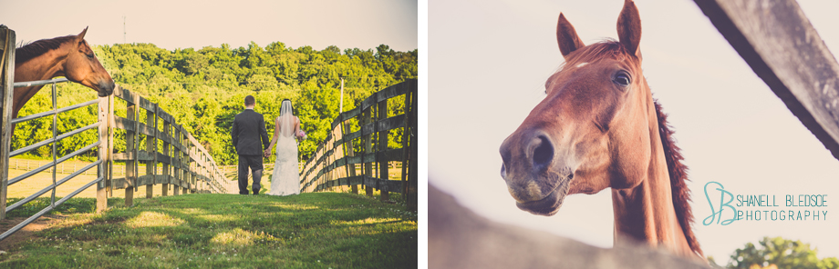 18_knoxville_wedding_hunter_valley_stables_bride_groom_horse_fence