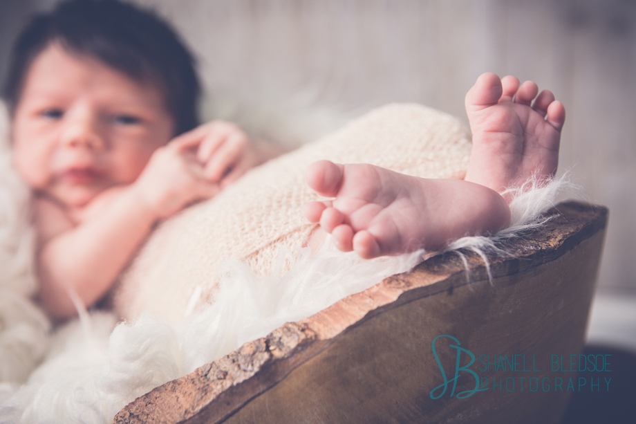 Newborn Baby boy photo session, lots of hair, Knoxville newborn studio photography, shanell bledsoe 