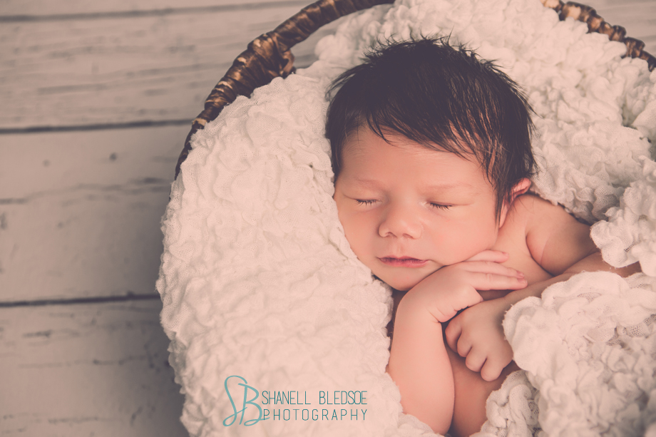 Newborn Baby boy photo session, lots of hair, Knoxville newborn studio photography, shanell bledsoe 