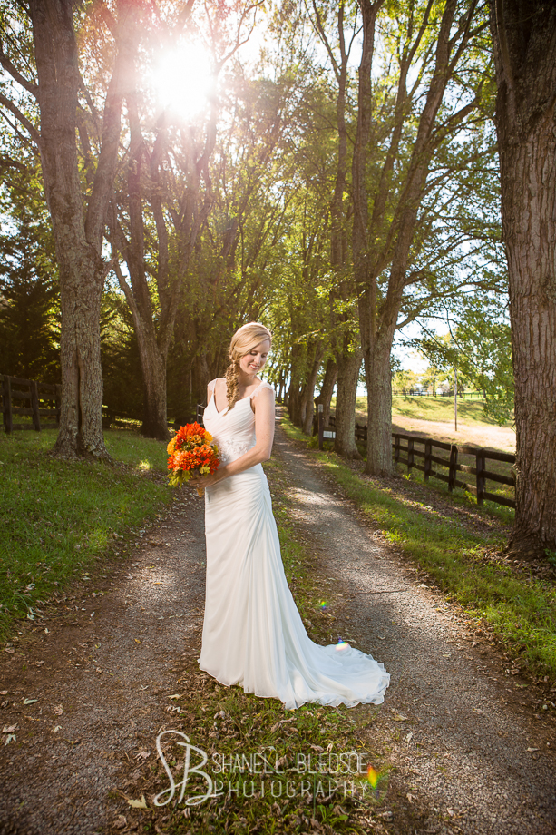 After the wedding bridal portrait photos at a horse farm in Jonesborough, TN. Shanell Bledsoe Photography, tree lined drive