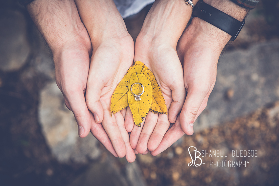 engagement ring on yellow fall leaf with couple's hands. engagement photos at Ijams Nature Center, Knoxville