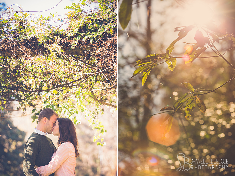 Fall autumn engagement photo session at Ijams Nature Center in Knoxville, TN by Shanell Bledsoe Photography. kissing under the canopy