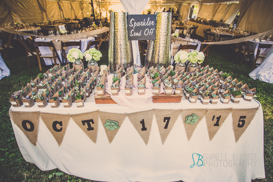 Knoxville wedding reception, mabry-hazen house, tent, burlap, succulent favors, shanell bledsoe photography, 