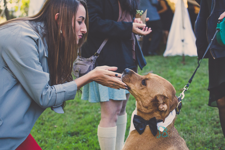 Knoxville wedding reception, mabry-hazen house, shanell bledsoe photography, bride's dog