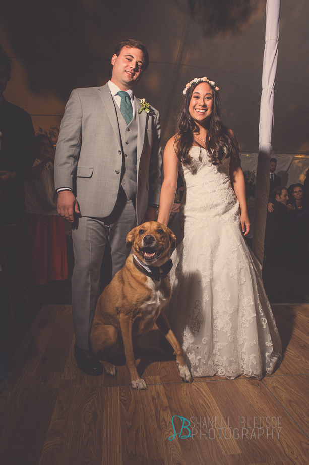 Knoxville wedding reception, mabry-hazen house, shanell bledsoe photography, dog