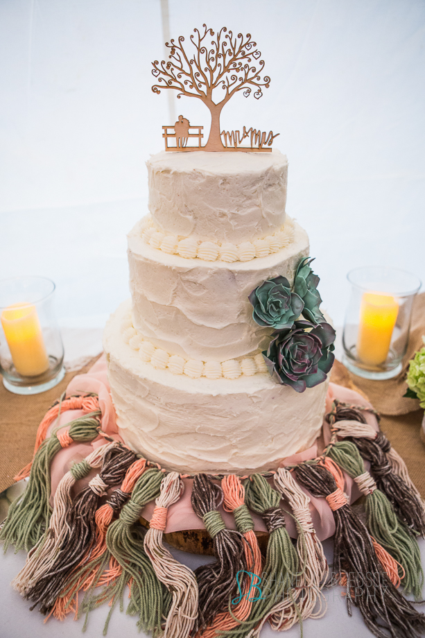 Knoxville wedding reception, mabry-hazen house, shanell bledsoe photography, cake with succulents