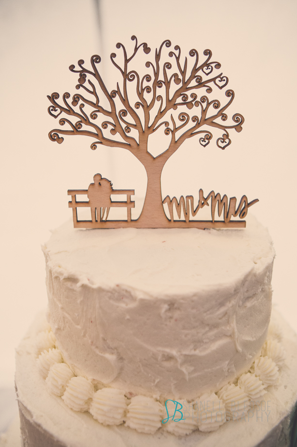 Knoxville wedding reception, mabry-hazen house, shanell bledsoe photography, white wedding cake, tree cake topper