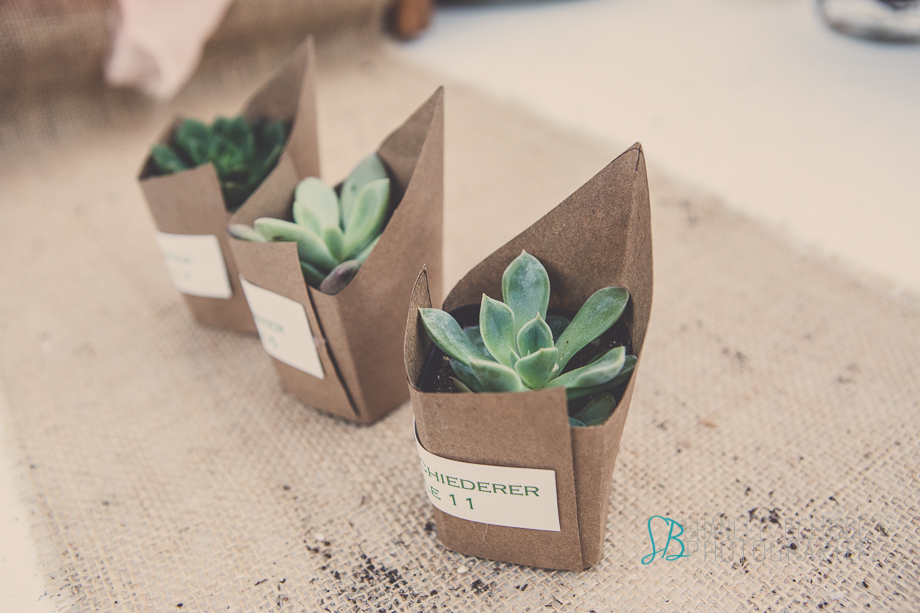 Knoxville wedding reception, mabry-hazen house, shanell bledsoe photography, succulent wedding favors