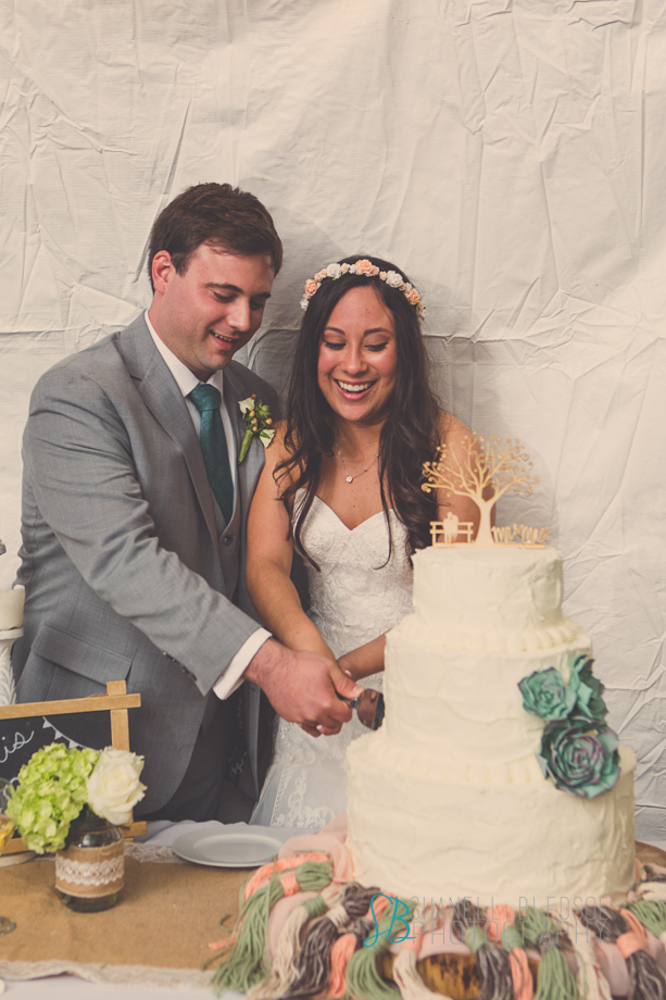 Knoxville wedding reception, mabry-hazen house, shanell bledsoe photography, cutting the cake