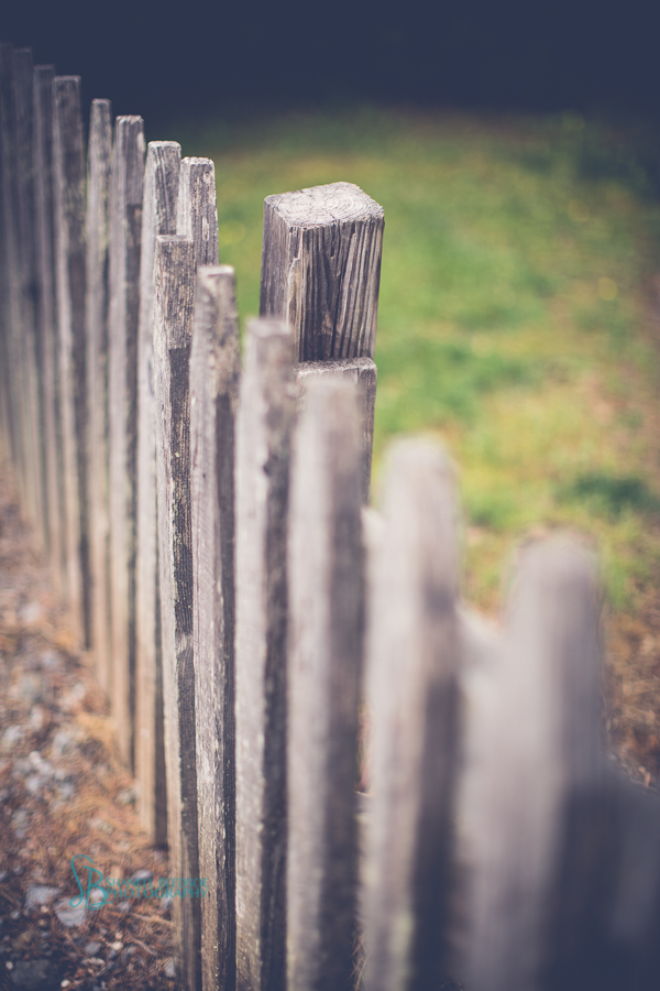 Rustic fence posts at Sampson's Hollow wedding