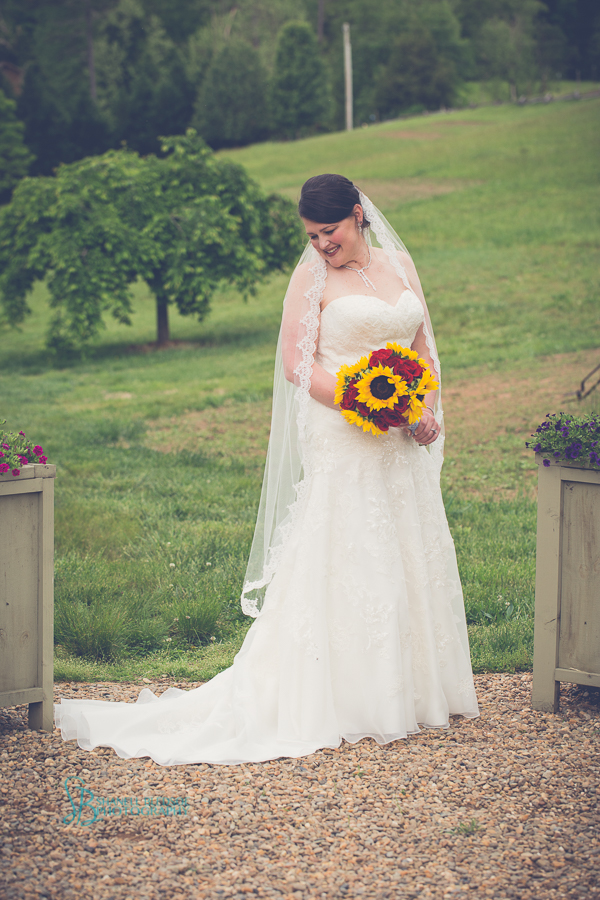 bridal portrait, sunflower and red rose bouquet, mountains