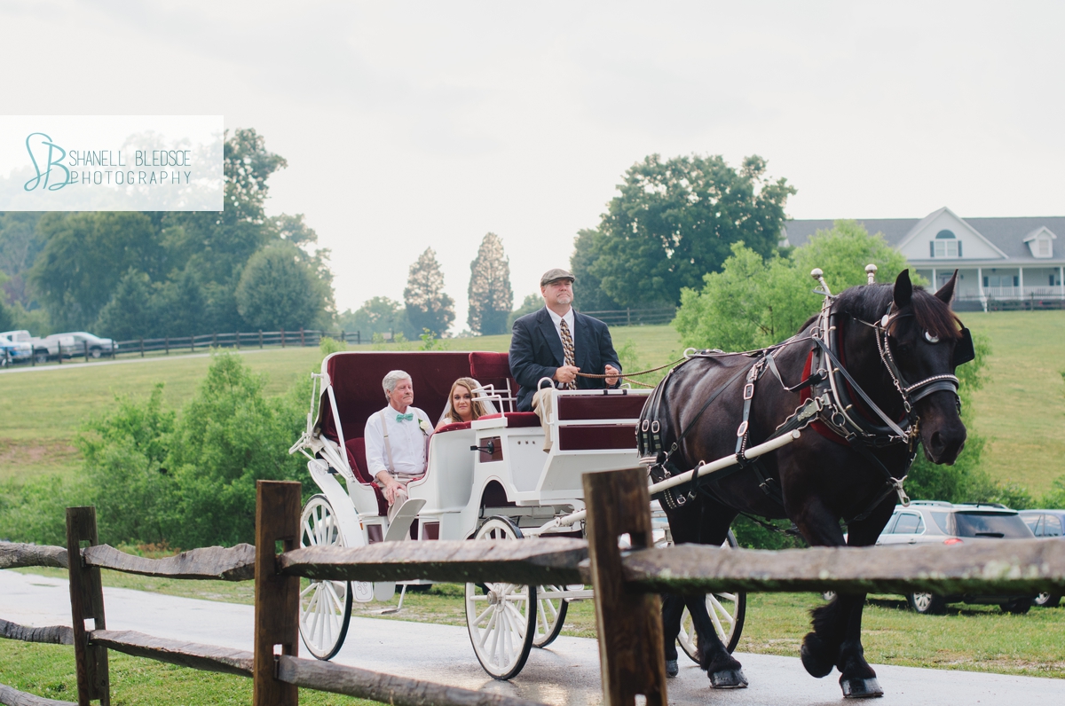 bride-in-horse-drawn-carriage-wedding-tn
