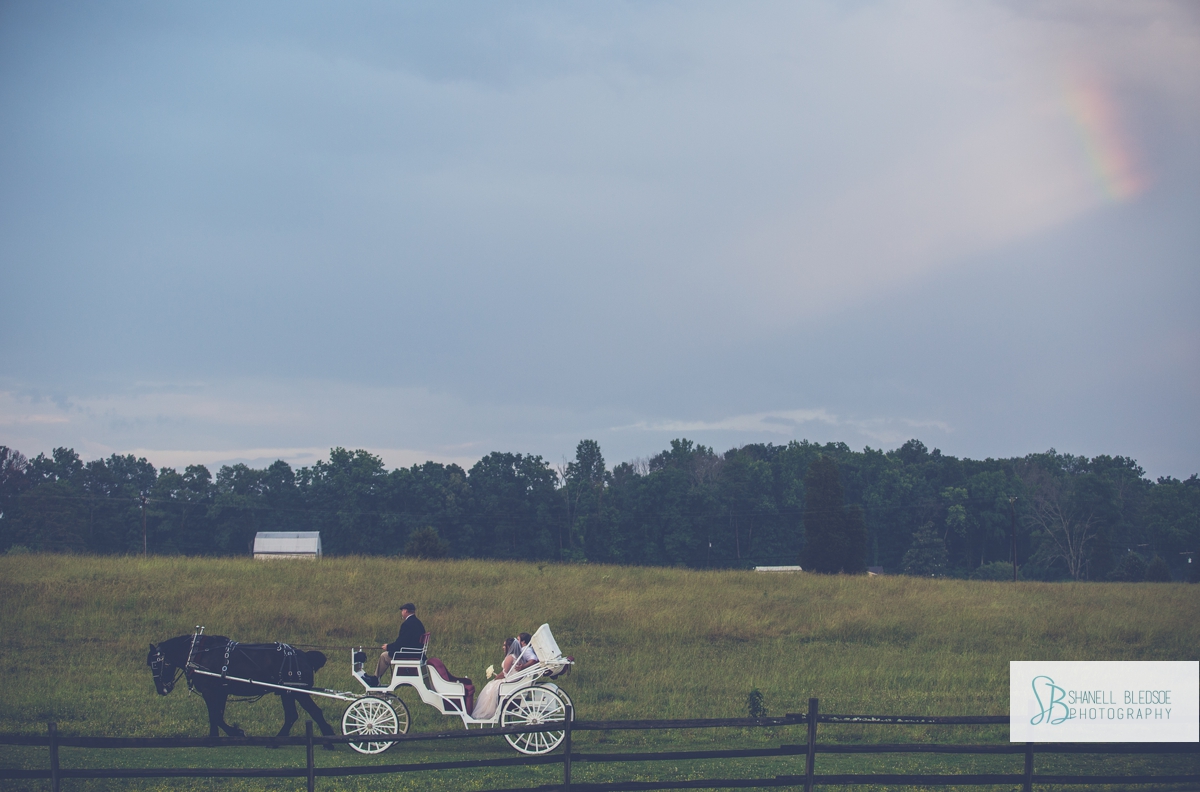 horse-carriage-bride-groom-rainbow-field