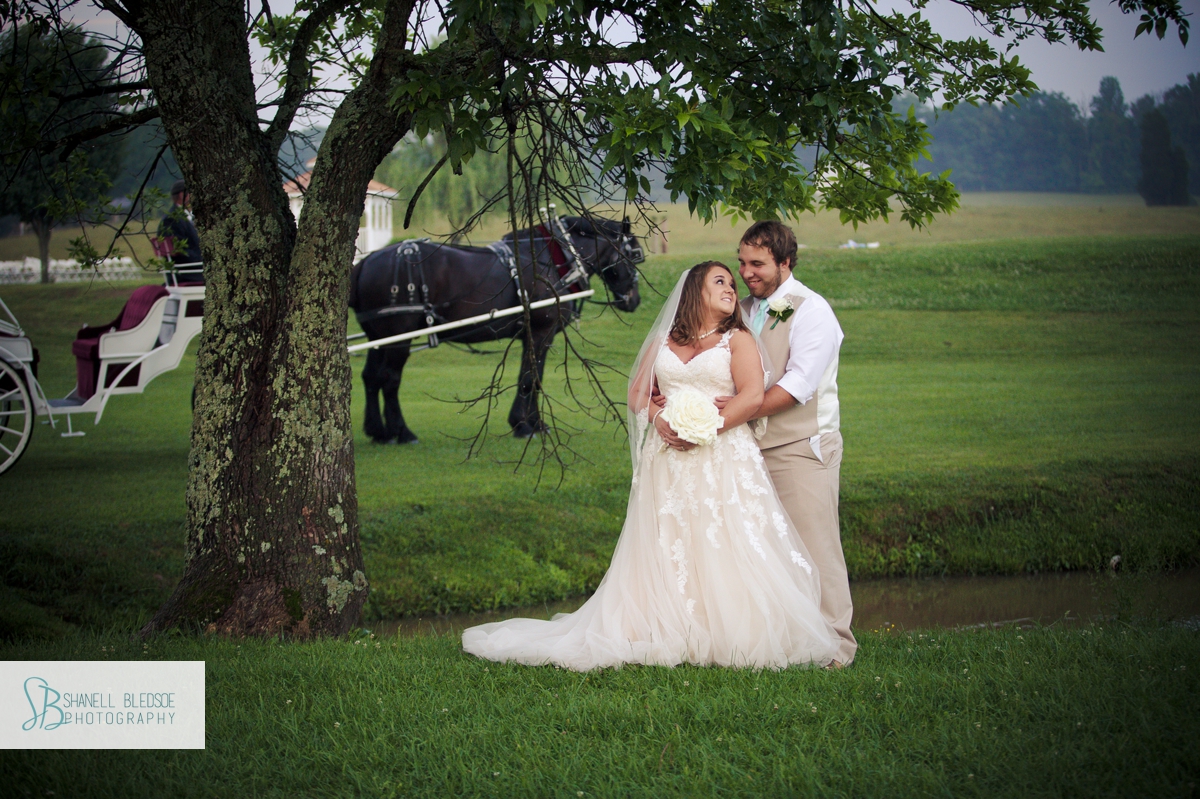bride-groom-portrait-horse-and-carriage-twin-cedar-farm