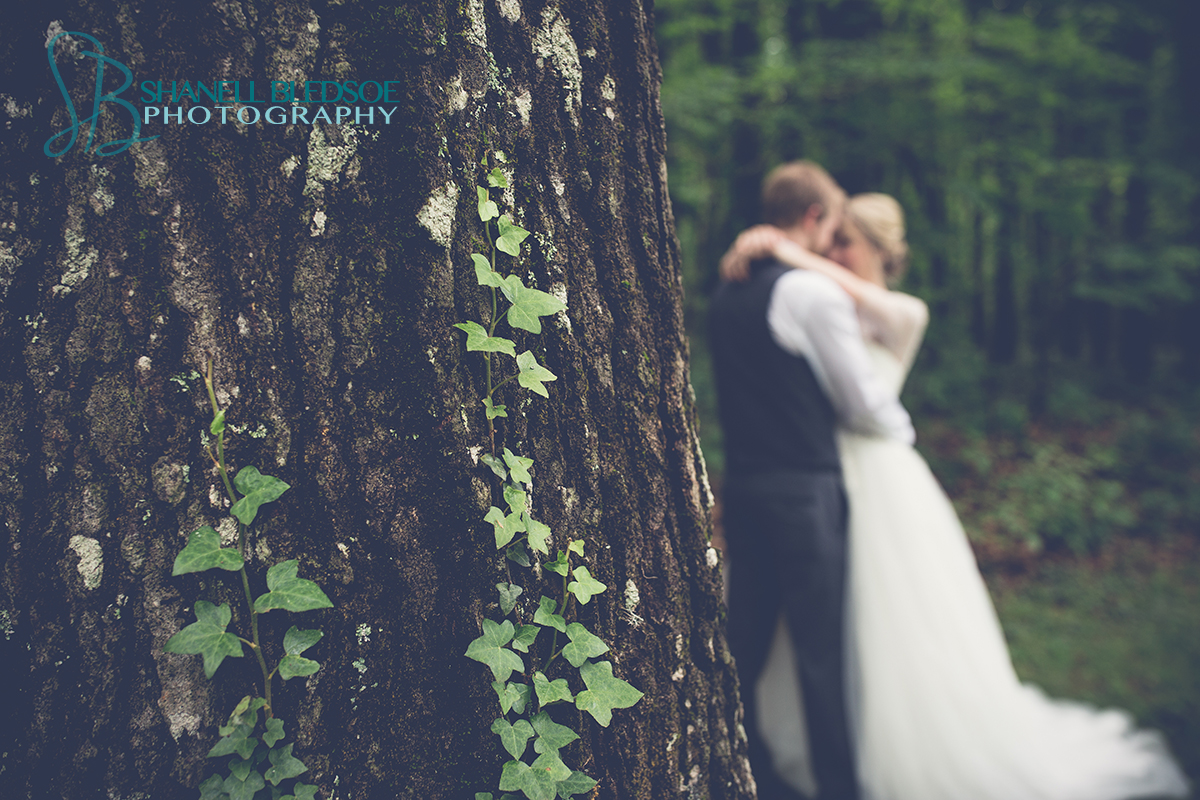 bride-and-grooom-forest-matte-trees-knoxville