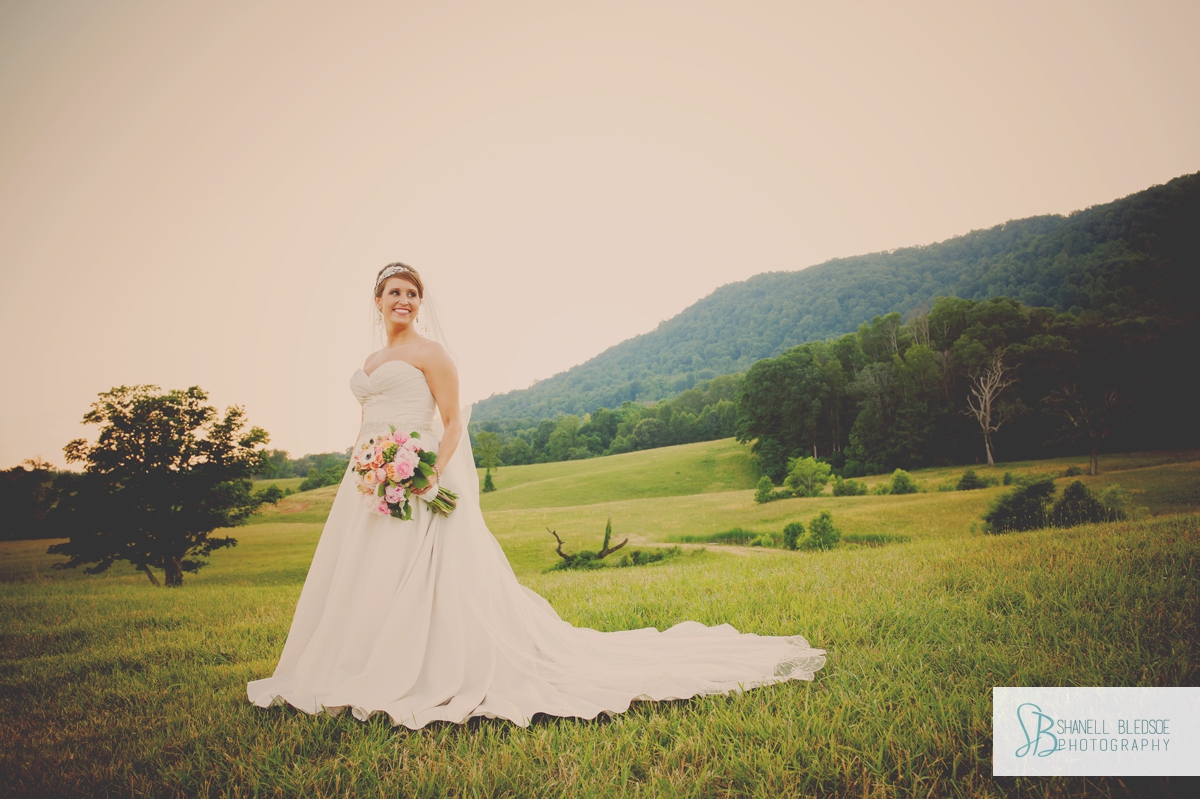 Bride in a Tennessee mountain field, LaFollette, TN wedding photographer