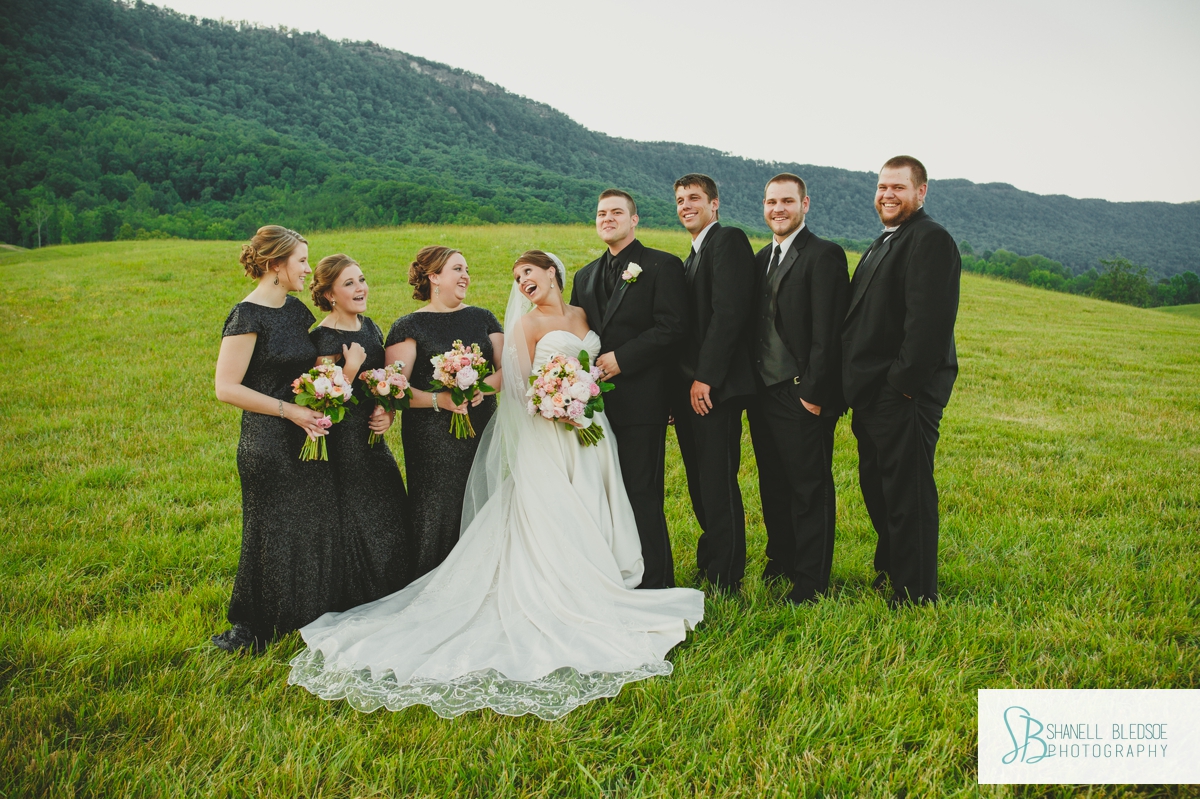 Wedding party in tennessee mountain field, the stables, lafollette