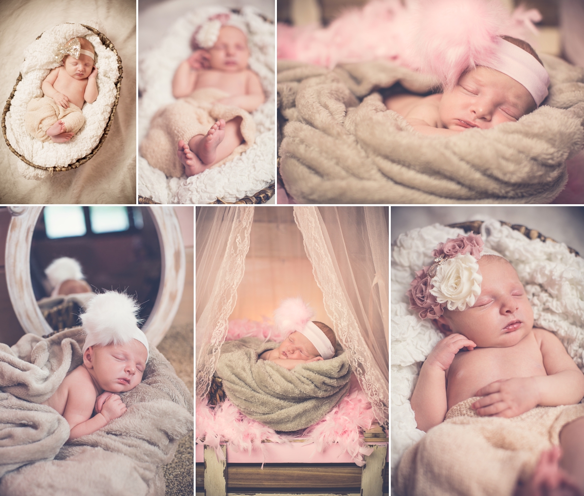 Newborn baby photographer photos in Knoxville TN