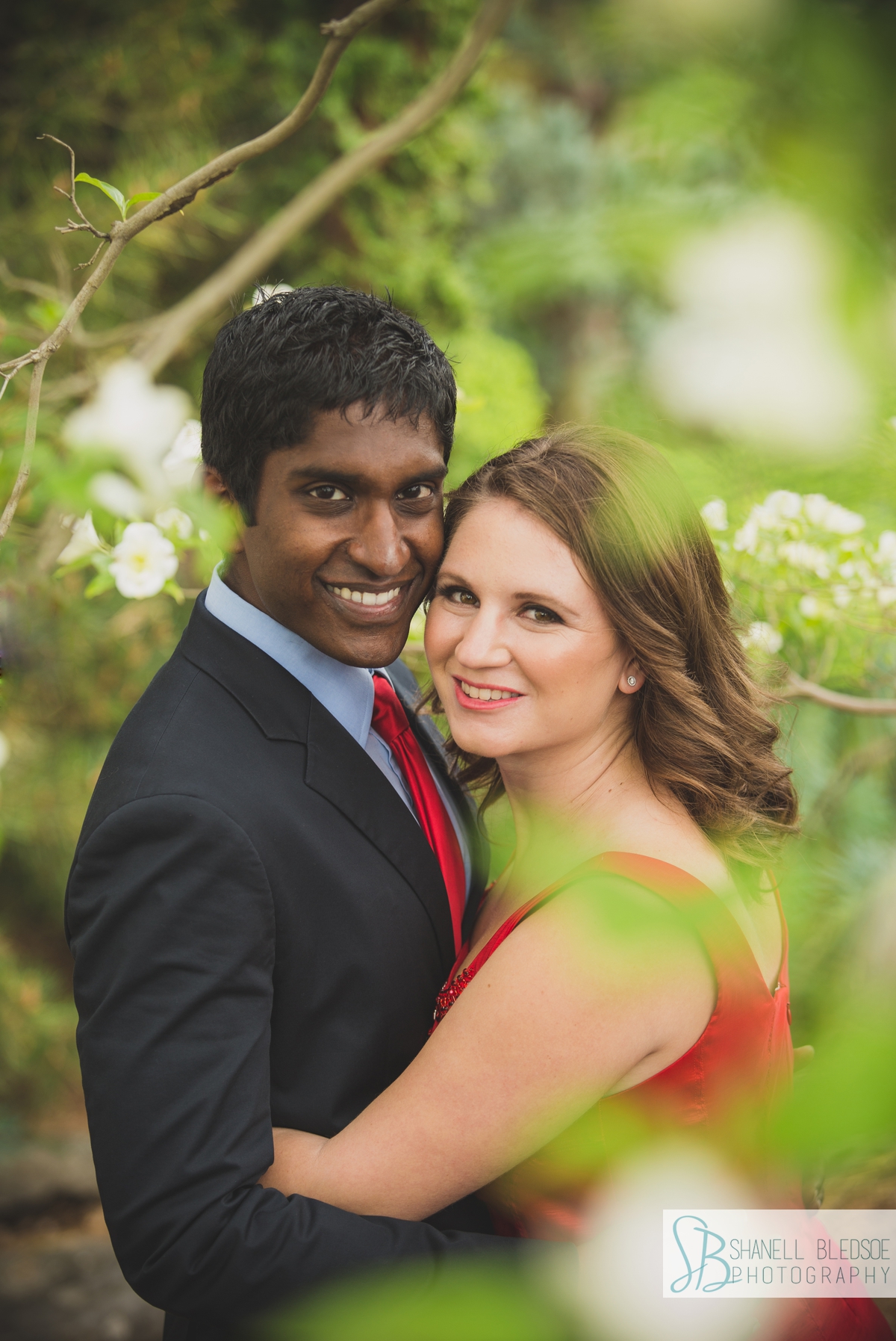 Dogwoods in bloom Spring at Cheekwood engagement photos