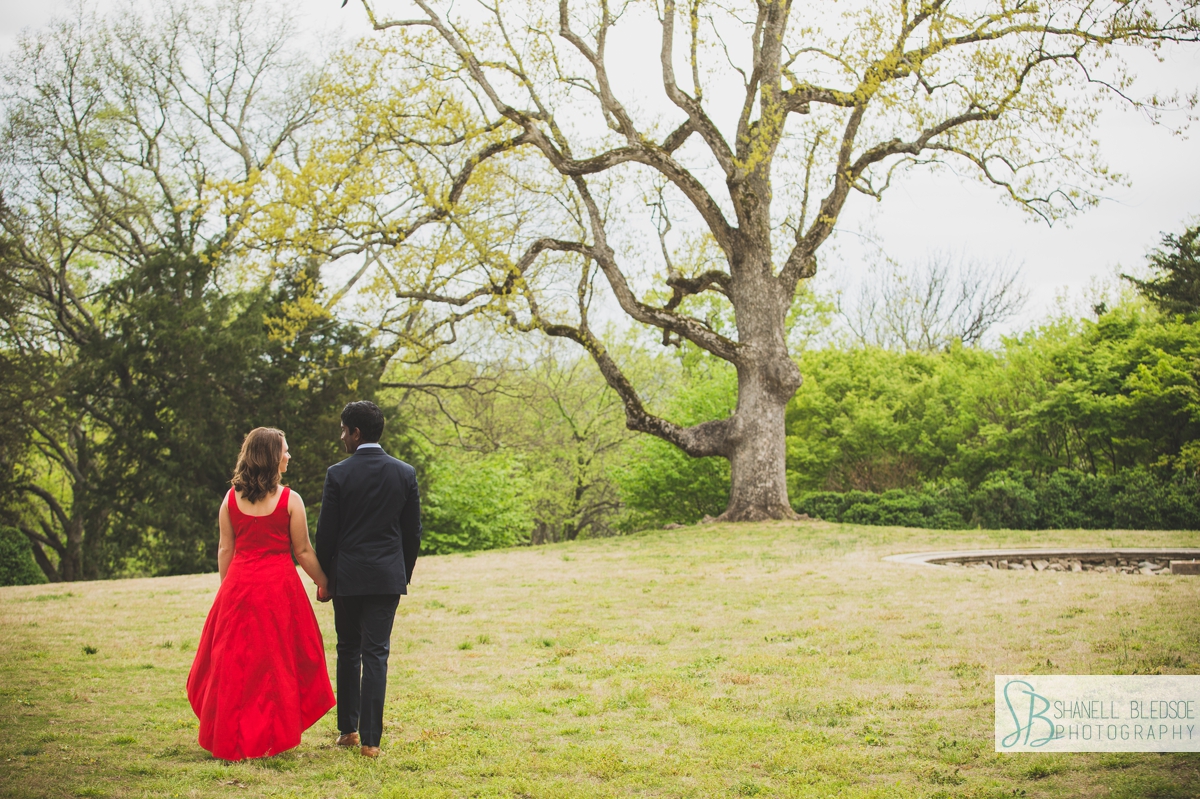 Swan Lawn Oak at Cheekwood engagement photo session in Nashville