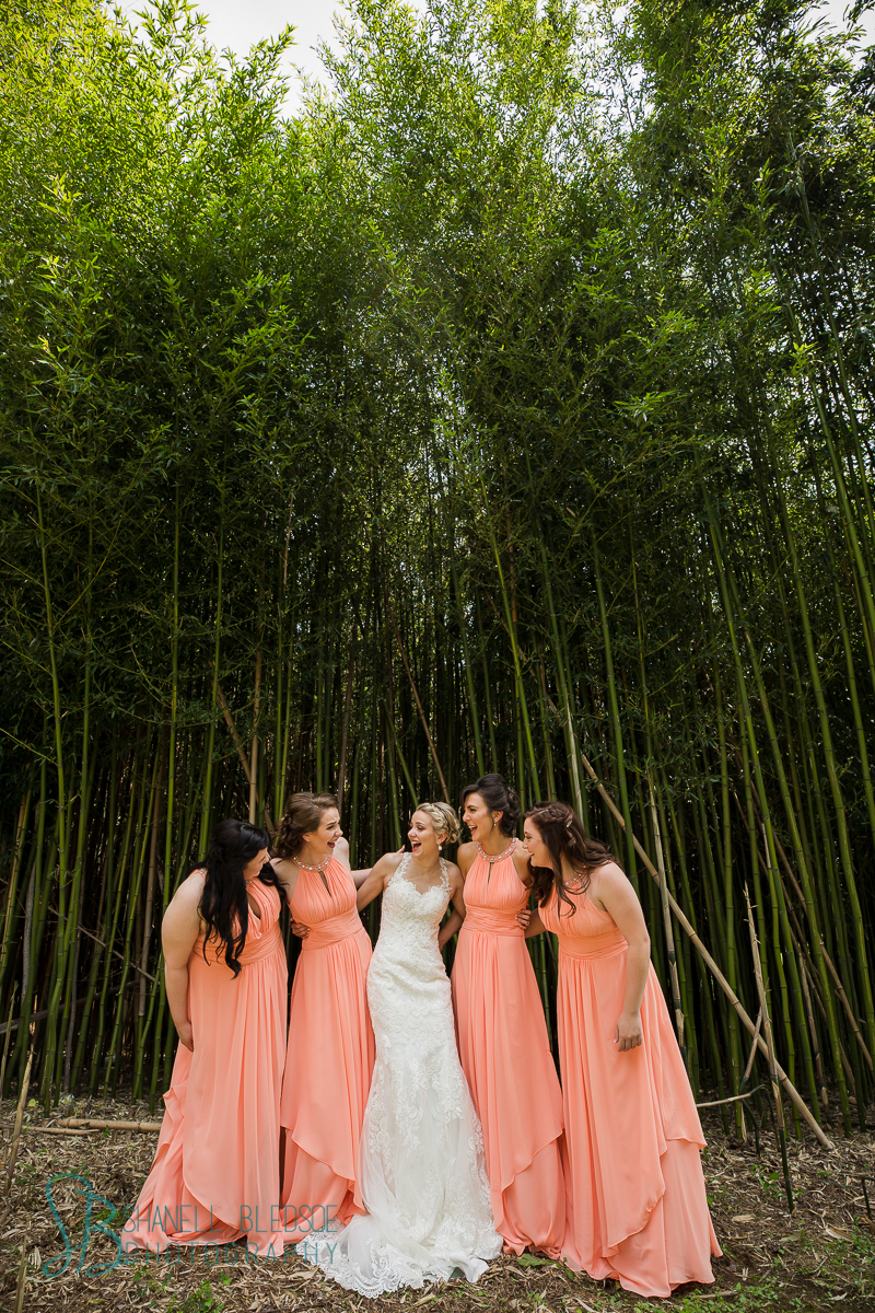 bride and bridesmaids in peach coral dresses bamboo forest