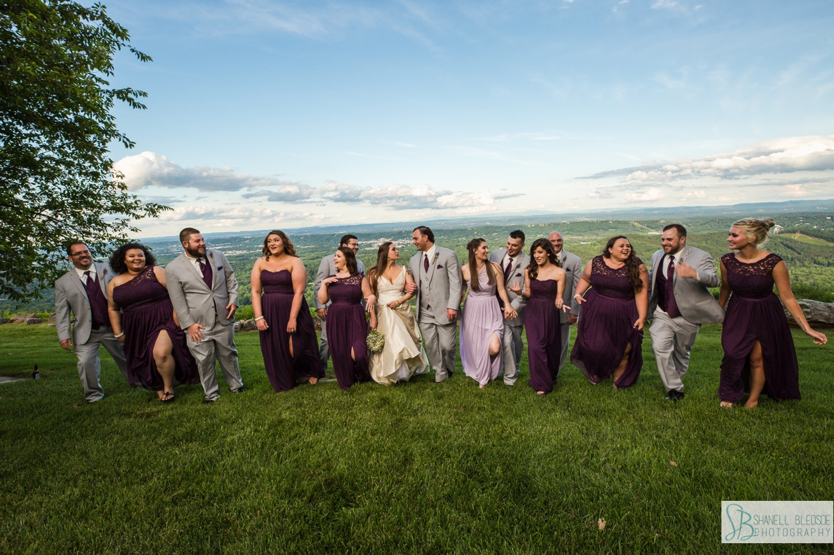 wedding party overlooking Chattanooga Valley at Rock City portrait 