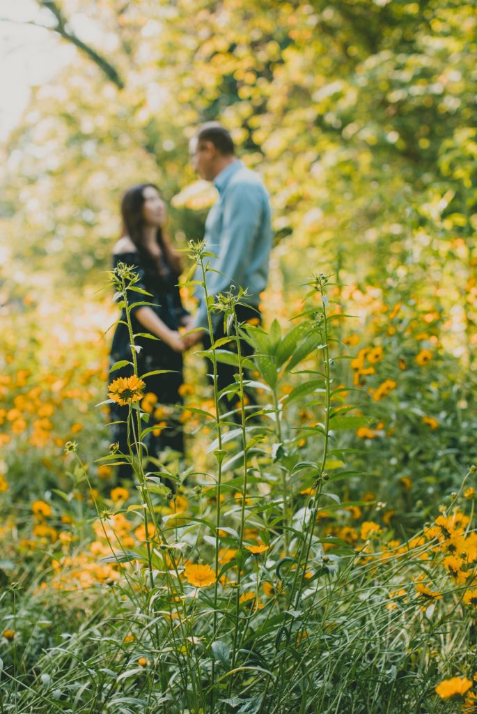 wildflower engagement photo session at Ijams Nature Center Knoxville