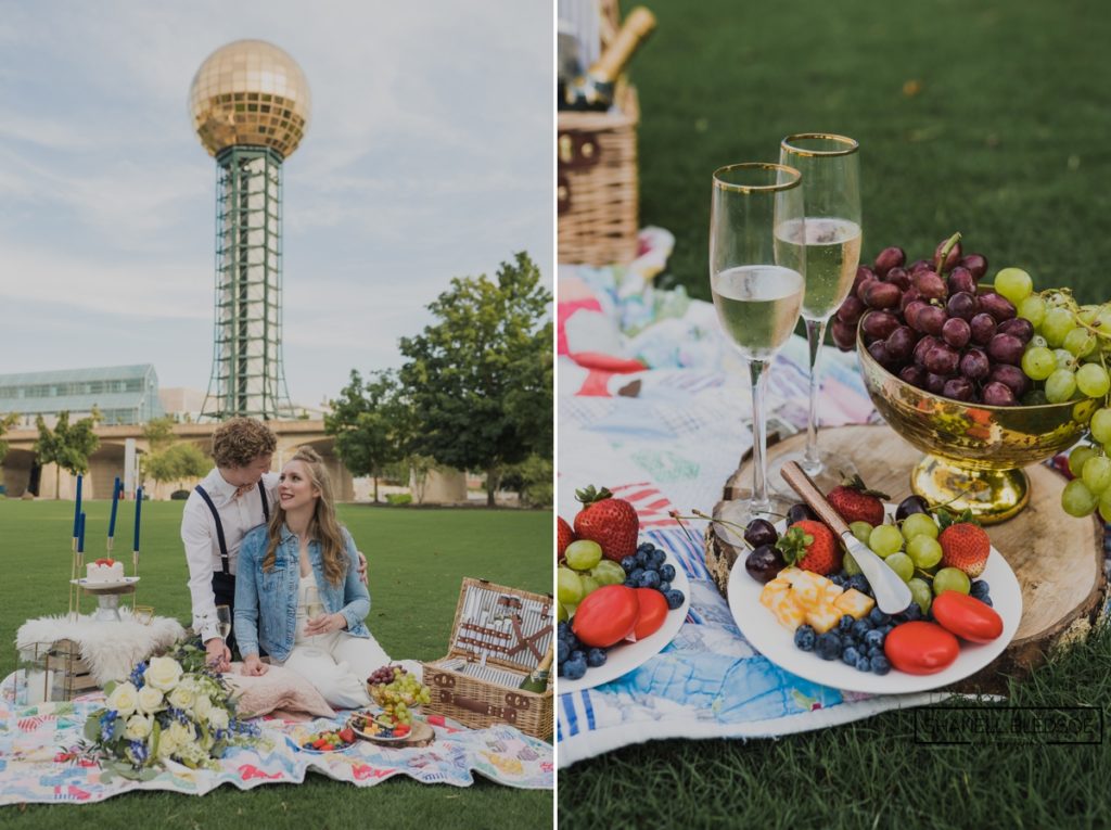 picnic wedding at Sunsphere World's Fair Park Knoxville