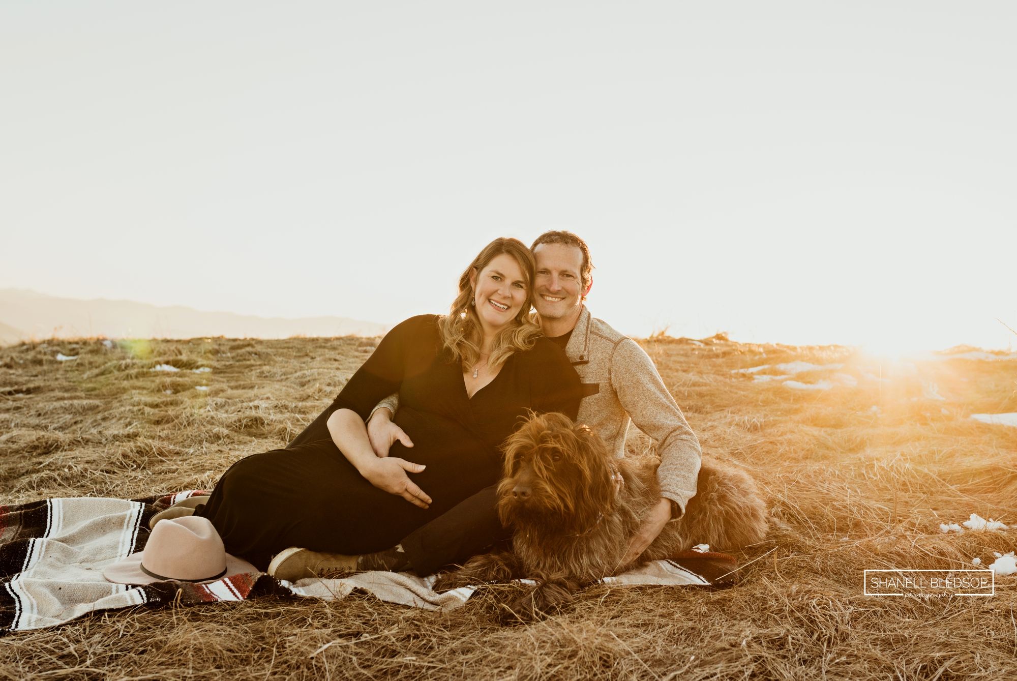 maternity photos with dogs