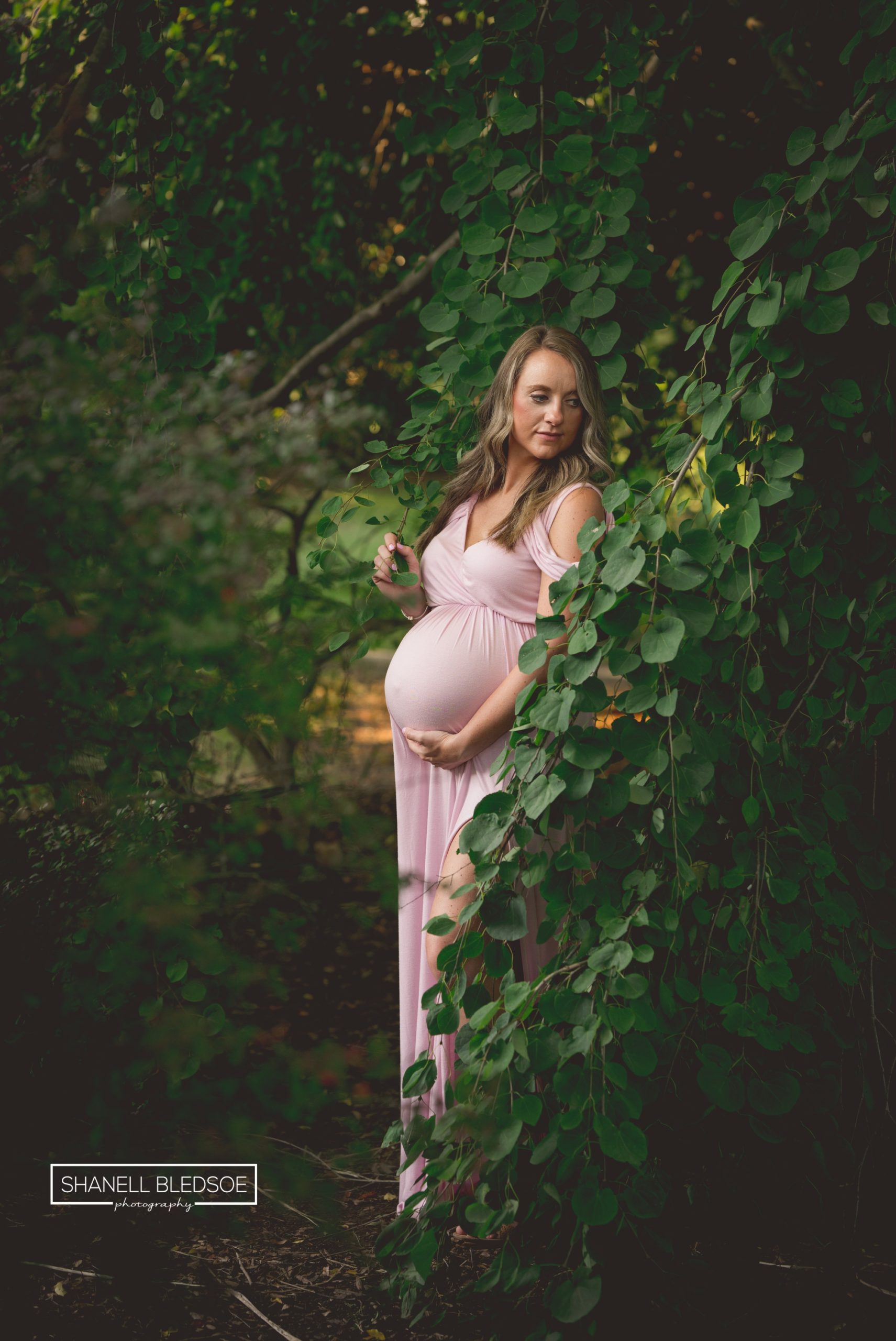 professional maternity portraits in Knoxville 