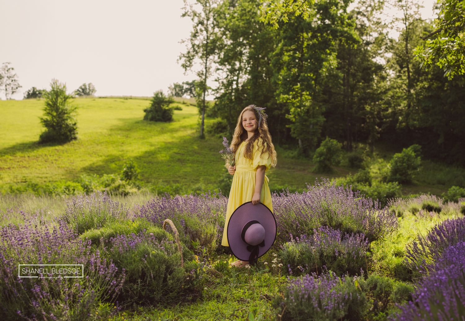 lavender fields in Knoxville tn